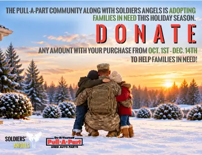 Soldiers Angels